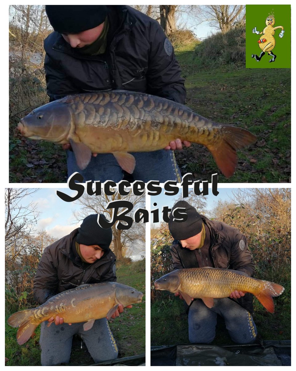 SuccessfulBait's tweet photo. #successfulbaitsuk team member Thomas Bond took advantage of the kind weather yesterday & was rewarded with 3 #carp to 16lb. All were caught on our ever successful #vnxplus #Wafters cast to showing fish, great angling Thomas. #carpfishing #carping #carper #bait #baits #bestbaits https://t.co/8T1kRdUlO3