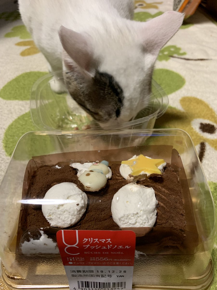 Unagi2005's tweet photo. Merry Christmas！ https://t.co/bU9xgWOaE4