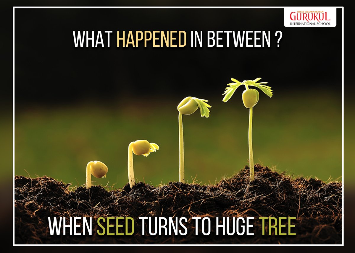 gurukul_org's tweet image. What Happened in Between ?
When Seed Turns to Huge Tree

#Pain&amp;amp;Gain
#Brahmavidya #SeedtoTree #gurukul_org #Pain #Gain #SwaminarayanGurukul #TransformingLife #LifeTransformation#motivation #quoteoftheday #like #life #quotestoliveby #inspiration #motivationalquotes #instagram
