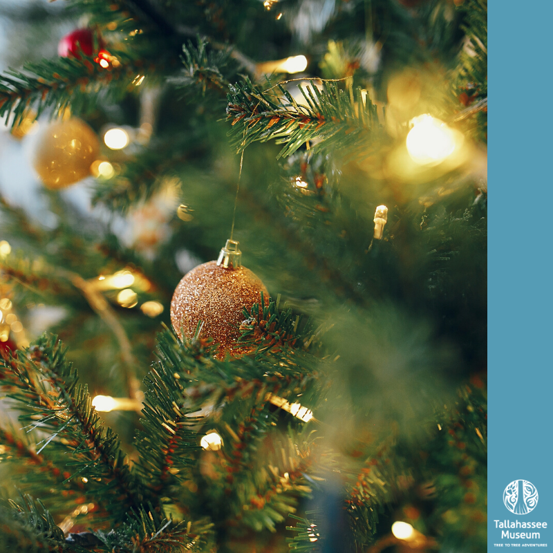 Happy Holidays from the Tallahassee Museum!

We are closed today and Christmas Day and will resume normal business hours on December 26th:

Monday-Saturday: 9 am – 5 pm
Sunday: 11 am – 5 pm