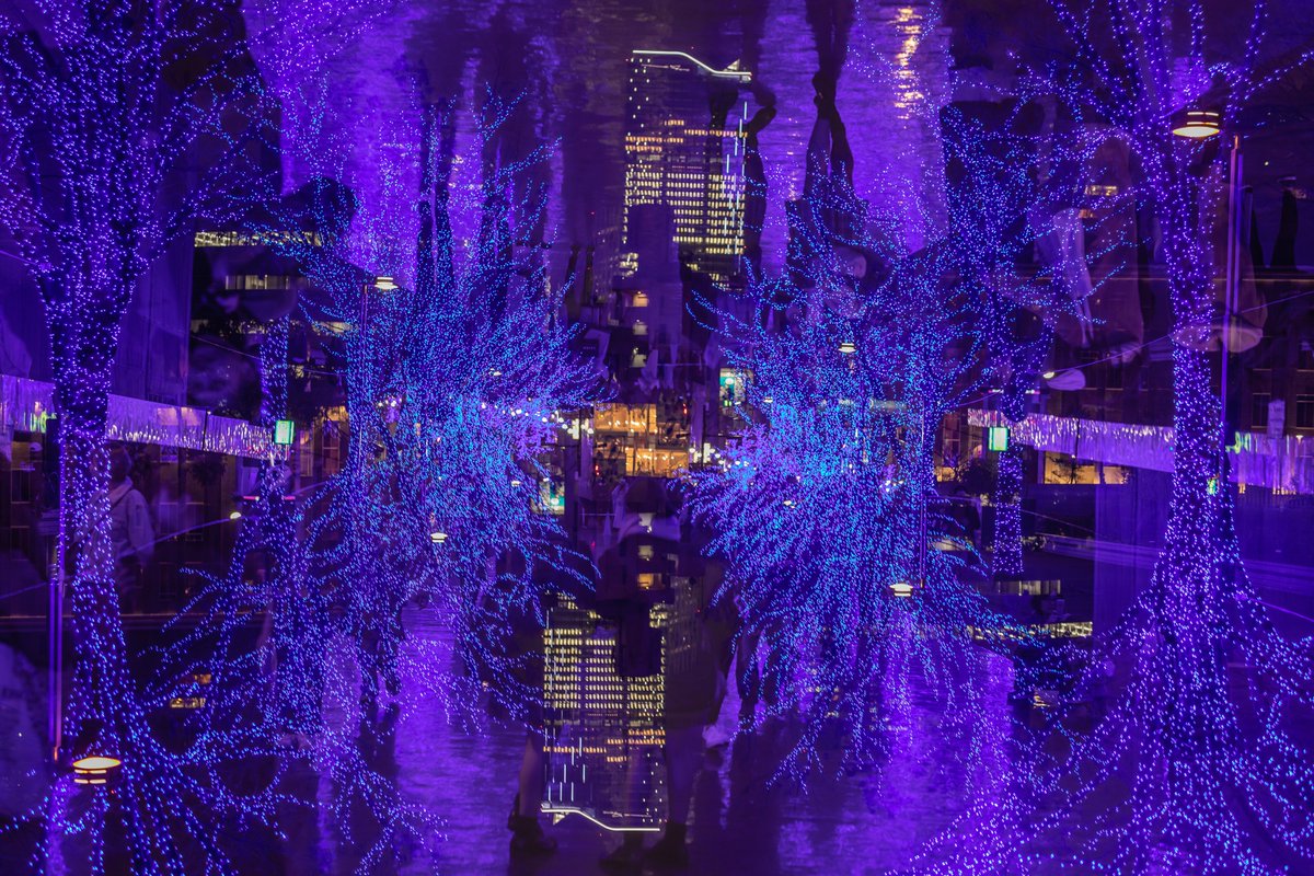 黒水 雪那 くろうず せつな 認定展vol 3ありがとうございました 福岡美展21 Location 青の洞窟 リア充ばっかりですね 渋谷 Shibuya デートスポット 青 夜景 観光スポット 冬 東京カメラ部 カメラ好き 一眼レフカメラ クリスマスイブ