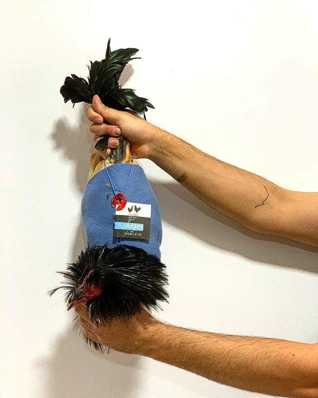 Chapon Noir D’Astarac Bigorre... Un ave de otro mundo. Amor y respeto, naturaleza y pasión... @xavierabadie @higiniogomezortiz @lucocinayalma @maisonlurestaurante #france #jerez #andalucia #foodporn ift.tt/2s7wMYk