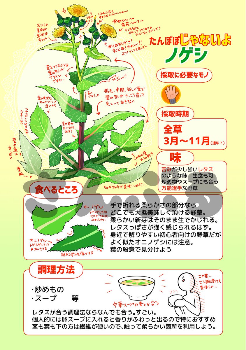 【C97】野草擬人化食レポ本2、こんな感じになりました～!
東京生まれ東京育ちの私が実際に自分で採って食べたことのある野草と木の実だけを擬人化し、解説をつけた図鑑テイストの同人誌になります!
1も合わせて再印刷したのでご安心です?
三日目南ニ06a ゴッドバードLOVEでお待ちしてます!! 