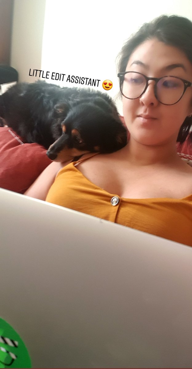 NRWMpodcast's tweet photo. Joey helping me get this episode out in time for Christmas 🐶💻🎄
.
.
.
.
.
.
#nothingrhymeswithmurder #nrwm #exceptherder #andalsogirder #truecrime #travel #podcast #AdoptDontShop #rescuedog #edit #editassistant #joeybean https://t.co/BvwJo7DsXf