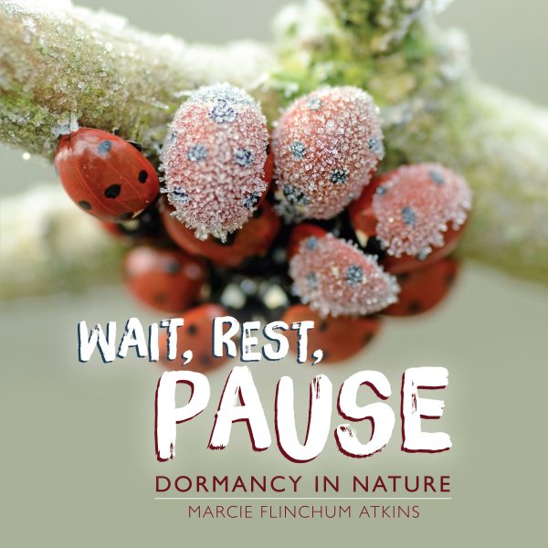 mstewartscience's tweet photo. What a great Holiday gift: @FuseEight shares her fave Science &amp; Nature Books of 2019:
https://t.co/6AiylAyBbP
@AuthorSSlade
@jennawritesPB @MarcieFAtkins @LelaNargi @saraclevine @SANDRA_MARKLE @sethasfishman @DogWriterDoro https://t.co/iO8FxkzcNa