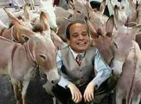 MC YOUSSEF😎 tweet media