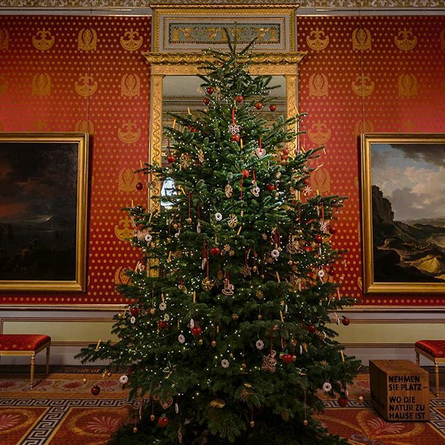 ViennaInside's tweet image. Mit diesem traumhaften Albertina Museum Weihnachtsbaum🎍 wünschen wir euch ein wunderschönes Weihnachtsfest und ruhige Feiertage😍 Liebe Grüße Christine, Thomas und Dominik
#ViennaInside #Weihnachten ift.tt/35RHuk4