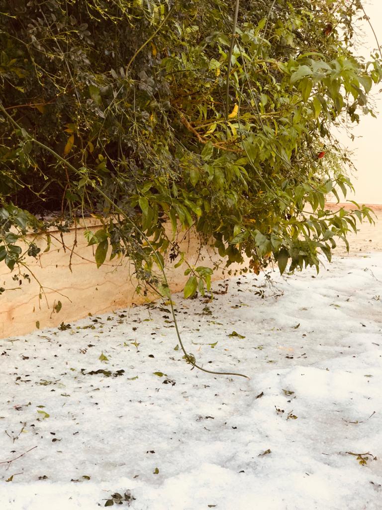 INFP2424's tweet photo. اليوم بذات و بكل حب نقدر نقول :
#welcome_winter🌨🖤
#رأي_شخصي_لا_يتحمل_النقاش https://t.co/jGPDnzJ03X