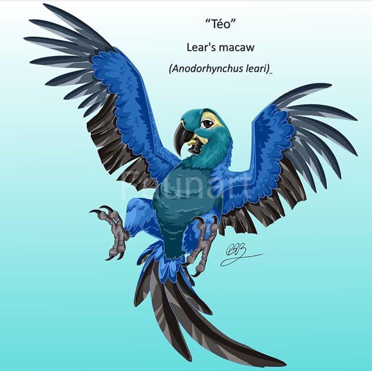faunart's tweet photo. And for last but not least “Téo”, the gallant Lear’s macaw, an endangered species that remains a great symbol of conservation efforts in Brazil. #conservation #team #biodiversity #macaw #birds #illustration #drawing #sciart be conscious of your impact on #nature https://t.co/OoTLj1UM7z
