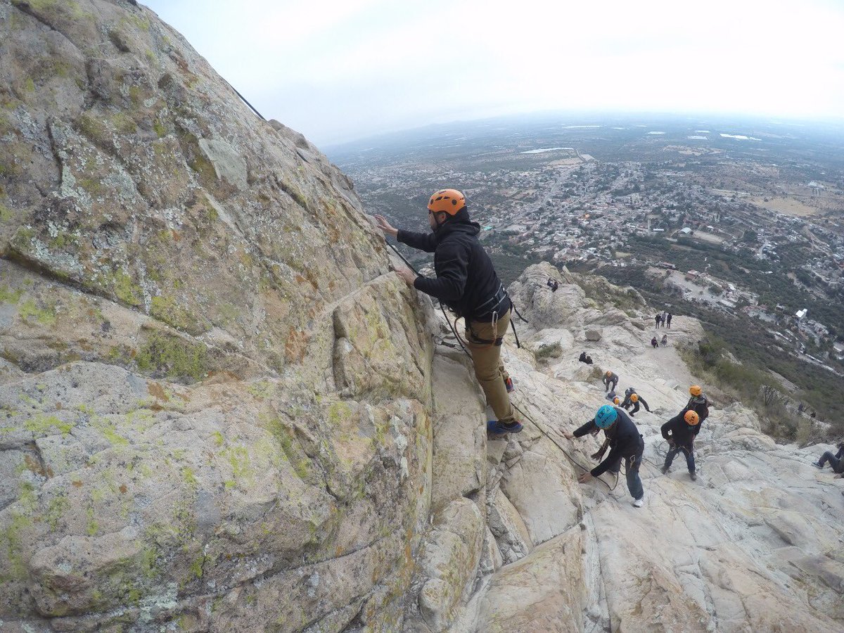 Helmut Fischer Mx tweet media