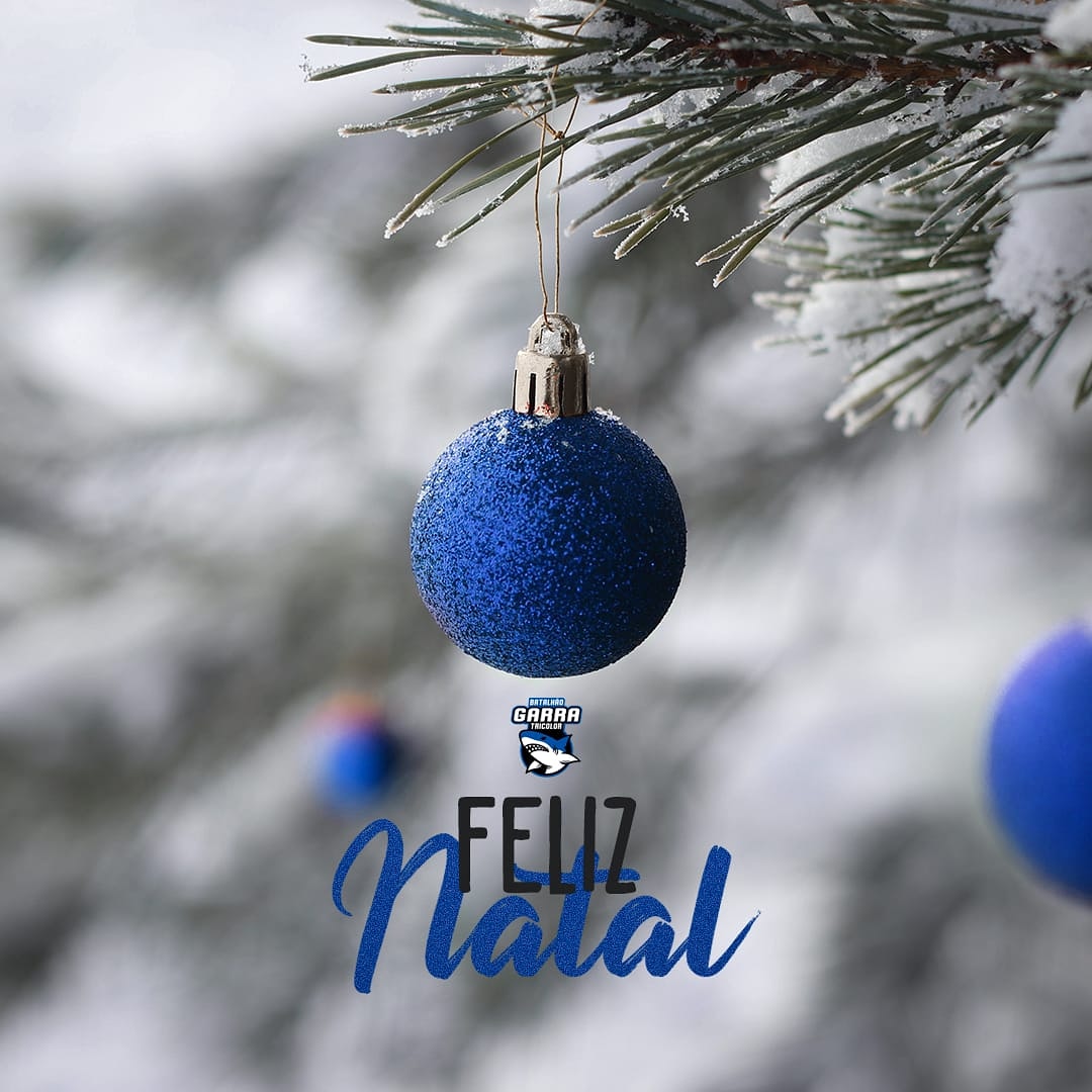 Batalhão Garra Tricolor (@oficialbgt) on Twitter photo 