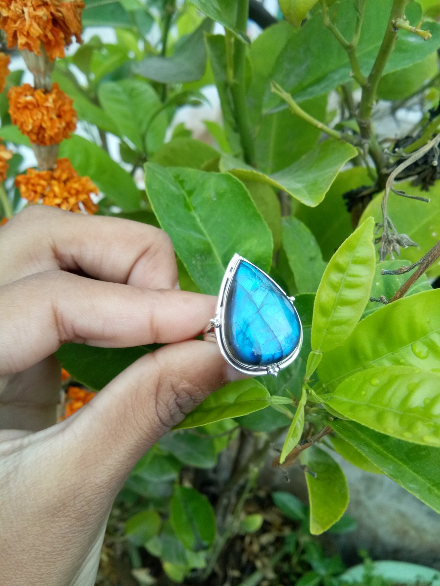 gemstonejewelr3's tweet photo. Labradorite Ring, 925 Sterling Silver, High Blue Flash Ring, Handmade Ring, Gemstone Ring๐โค๏ธ๐๐
https://t.co/5GRWeQ23bV
#labradorite #labradoritering #ring #pearstonering #blueflashring #gemstone #jewelry #highflash #partywearring #attractive #sterlingsilver #925silverring https://t.co/petVra2Biq