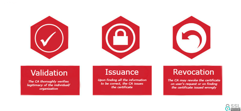 sslrenewals's tweet photo. What is a Certificate Authority? Why does it matter for the security of your website? - https://t.co/4EGsFYvSOI

It’s important to understand the role of certificate authorities before making a choice.

#SSL #Security #Infosec https://t.co/LCNXltrCz6
