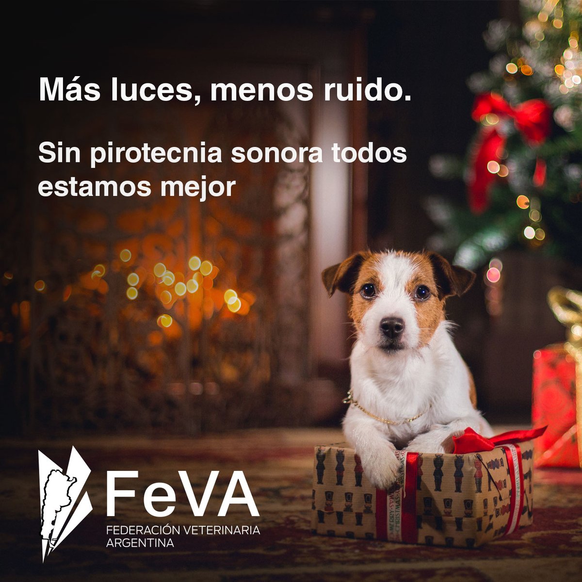 Federacionvete's tweet photo. Más luces, menos ruido.
Sin pirotecnia sonora todos estamos mejor
Es un mensaje de FEVA .

#FelicesFiestas #MásLucesMenosRuido #Veterinaria #Mascotas https://t.co/X4bP6KelwH
