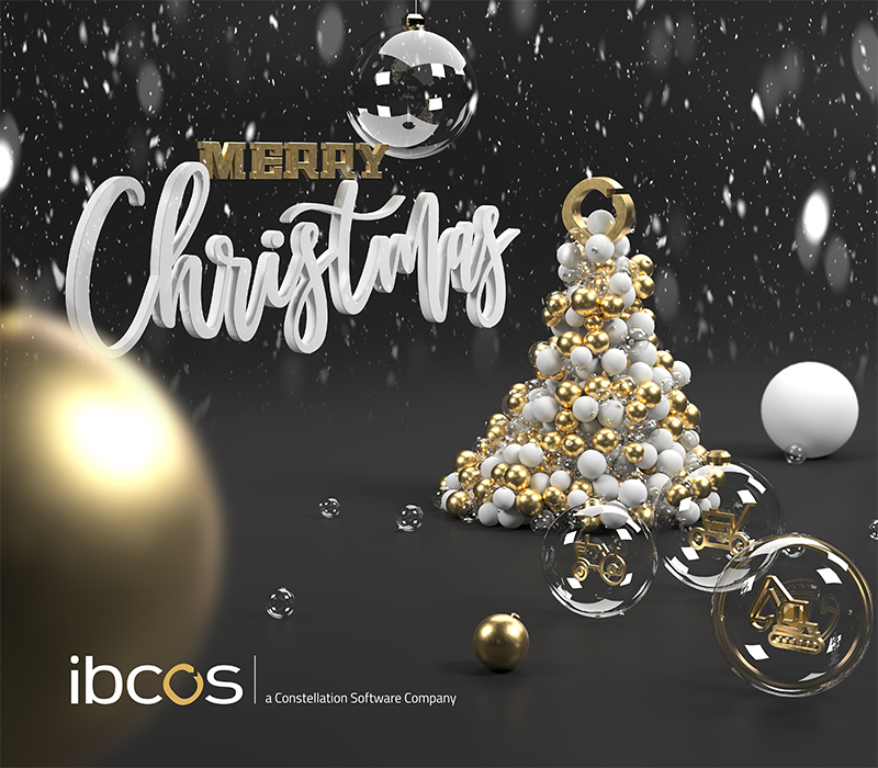 On behalf of everyone here at Ibcos, we wish you a Merry Christmas and prosperous New Year!