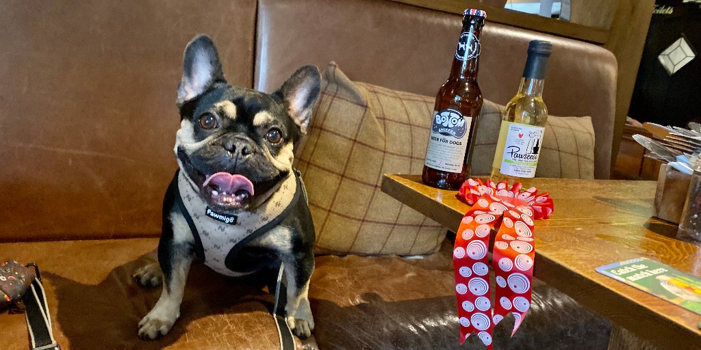 The Fox and Hounds, Theale dogfriendlytravel.com/the-fox-and-ho… Find out why it's Louie's favorite #dogfriendly British pub! @foxhoundstheale @Woofandbrew
