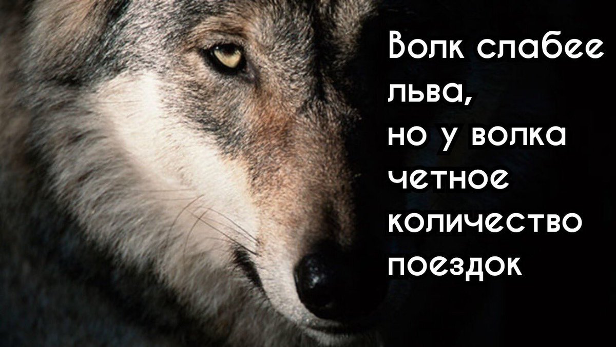 З А П О М Н И Т Е