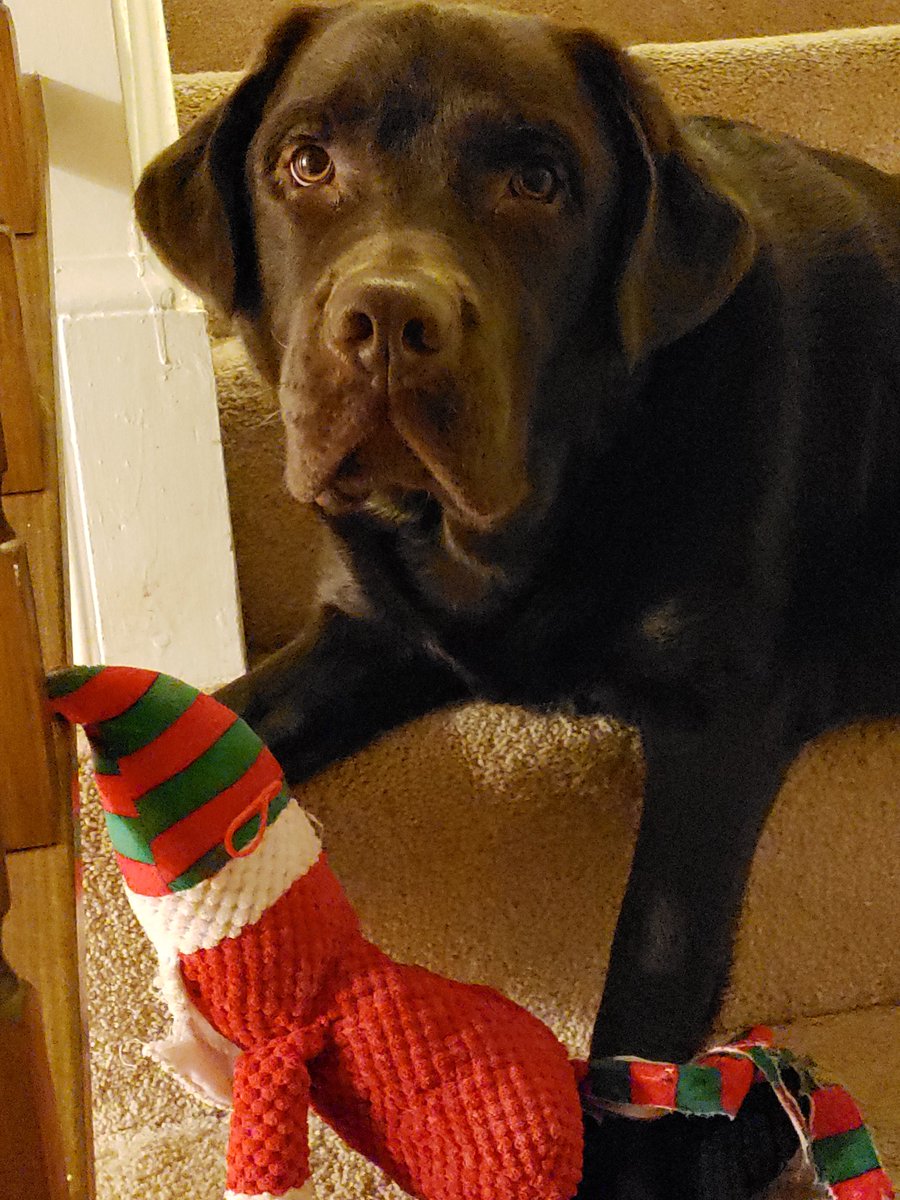Dubs101002's tweet photo. @tuckerbudzyn Feel better Linda! Prayers to you for Christmas. Luv Dubs! https://t.co/UAdF8aQPlR