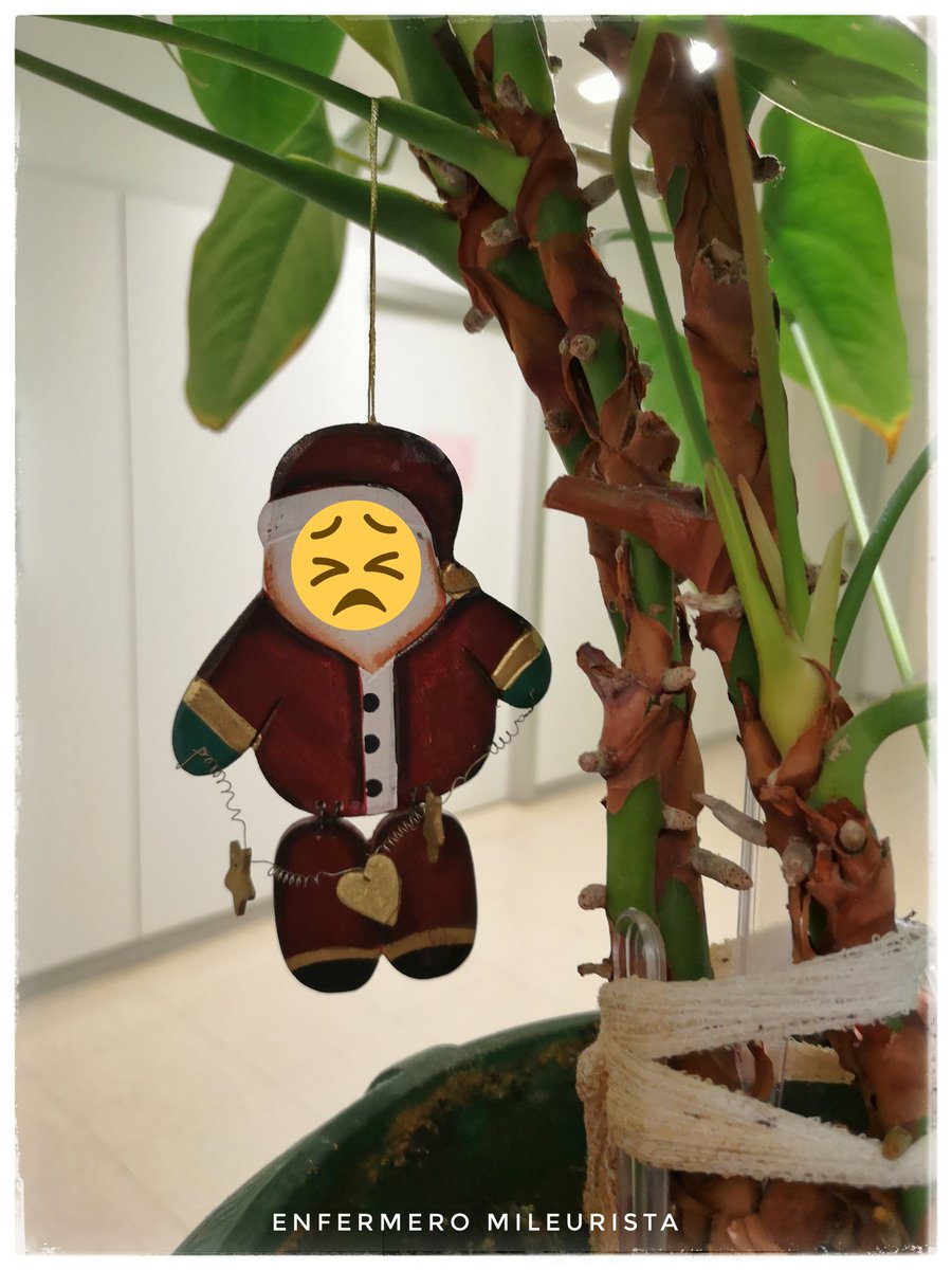 duemileurista's tweet photo. Papá Noël ha decido colgarse de una maceta cuando ha visto que en la Planta se quedan esta tarde 2 enfermeras para 38 enfermos. 
#Nochebuena
#Nochebuena2019
#FelizNavidad https://t.co/FafZXCR78S