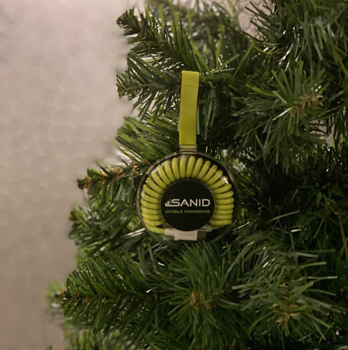 SANIDcom's tweet photo. Was hängt bei euch am Baum? https://t.co/tbGZH83v6E
