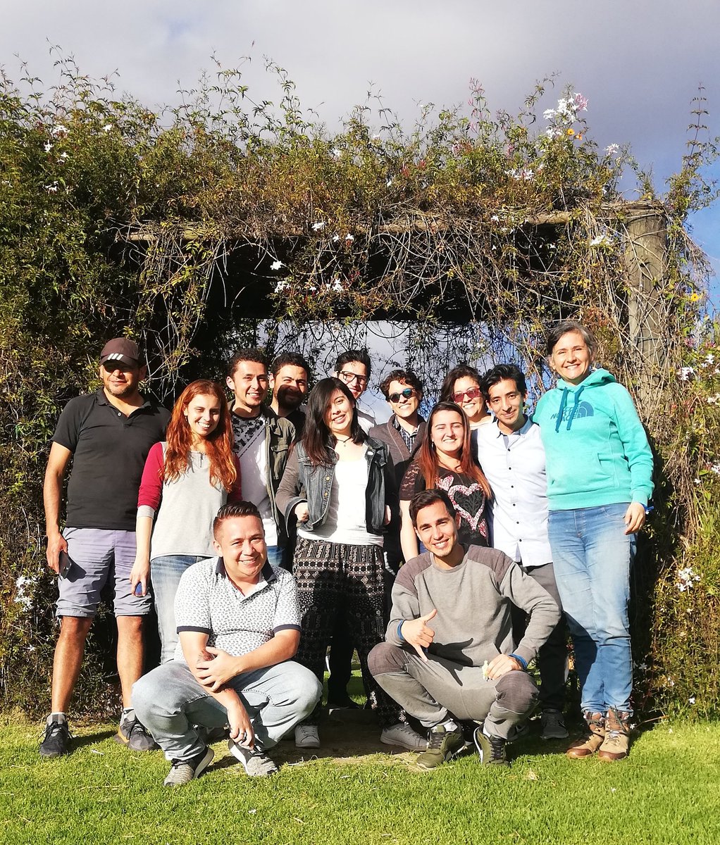 Dominio Estudio tweet media