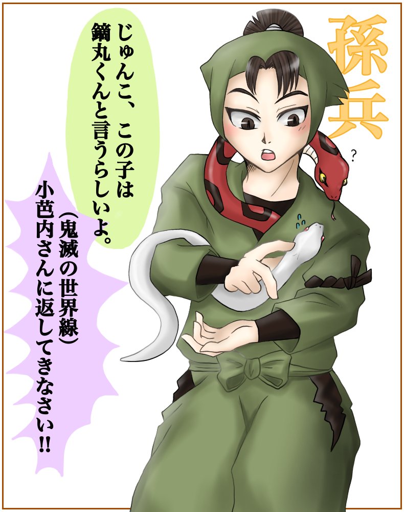 忍たま ギャグもシリアスもいける どっかしらにストライクがある 豊富なキャラと 緻密な設 おみかん の漫画