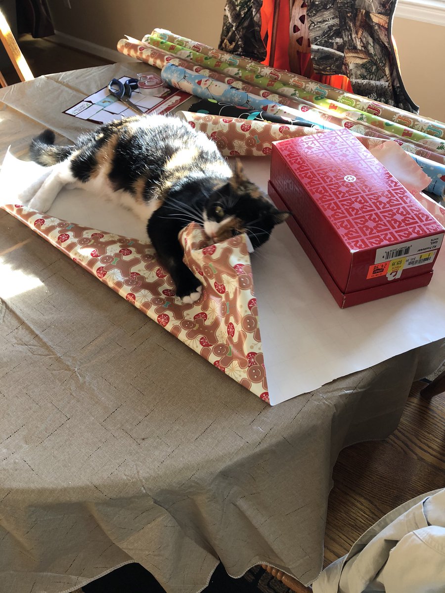 Trying to wrap presents when you have a cat...