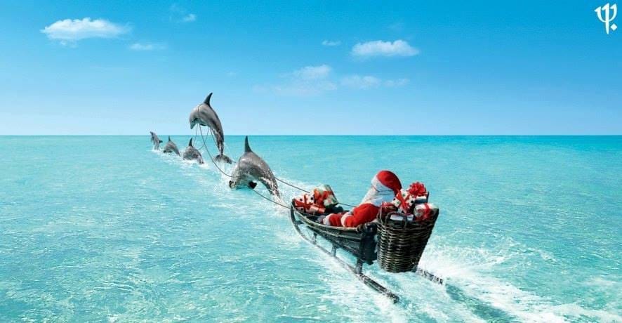 keycaribe's tweet photo. Happy Holidays - https://t.co/dh5GaSgtFK https://t.co/Z3mD1ja5AV