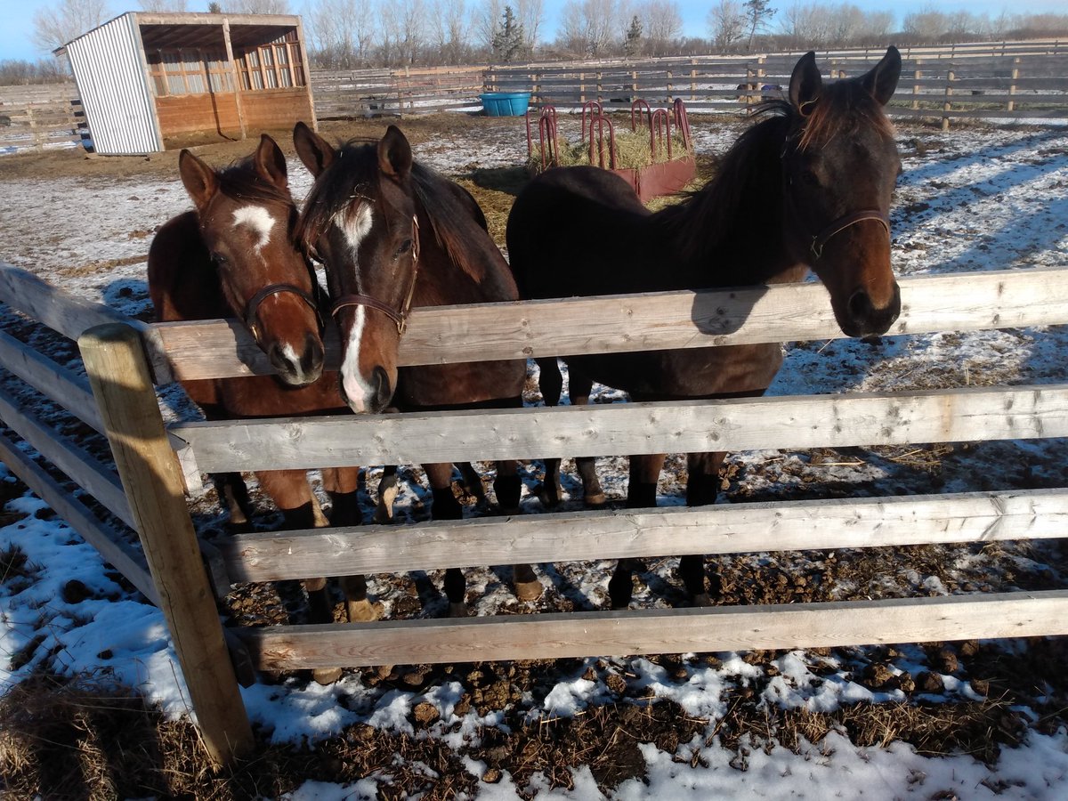 KnowlsWesley's tweet image. Merry Christmas Everyone