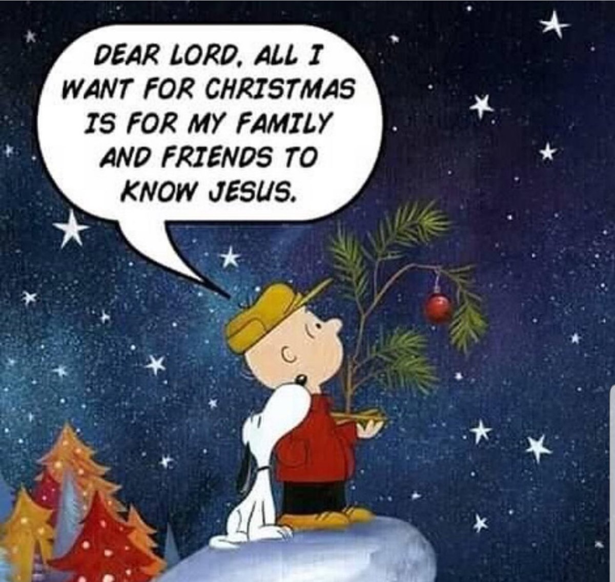 AHamster1's tweet photo. The perfect gift! #MerryChristmas https://t.co/bX0YYi7cTr