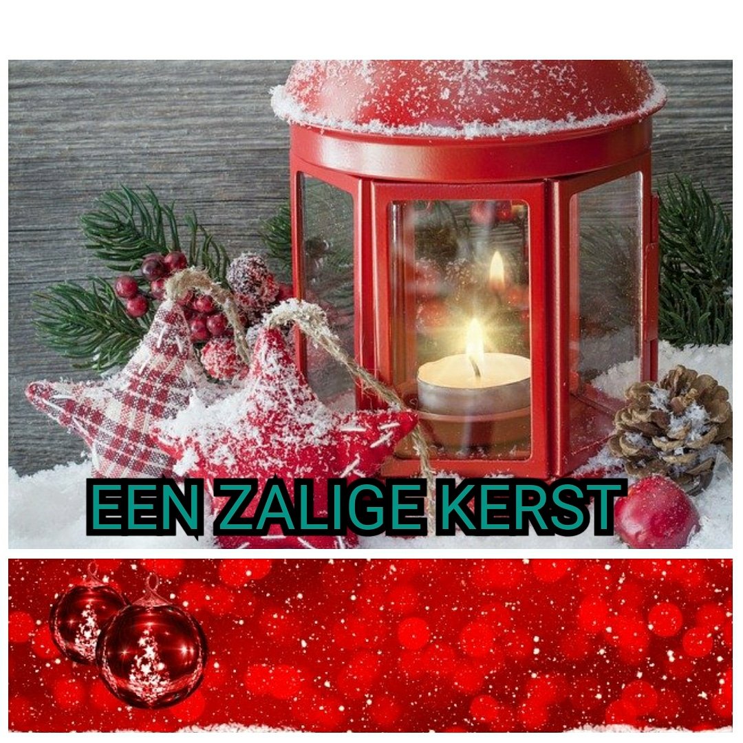 Sandra Ringoot tweet media