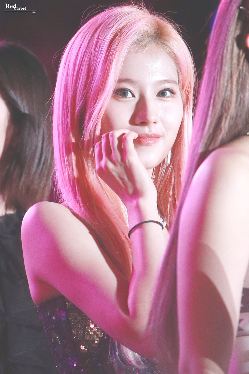 sanapics's tweet photo. pretty and cute https://t.co/qP1bOtz4dR