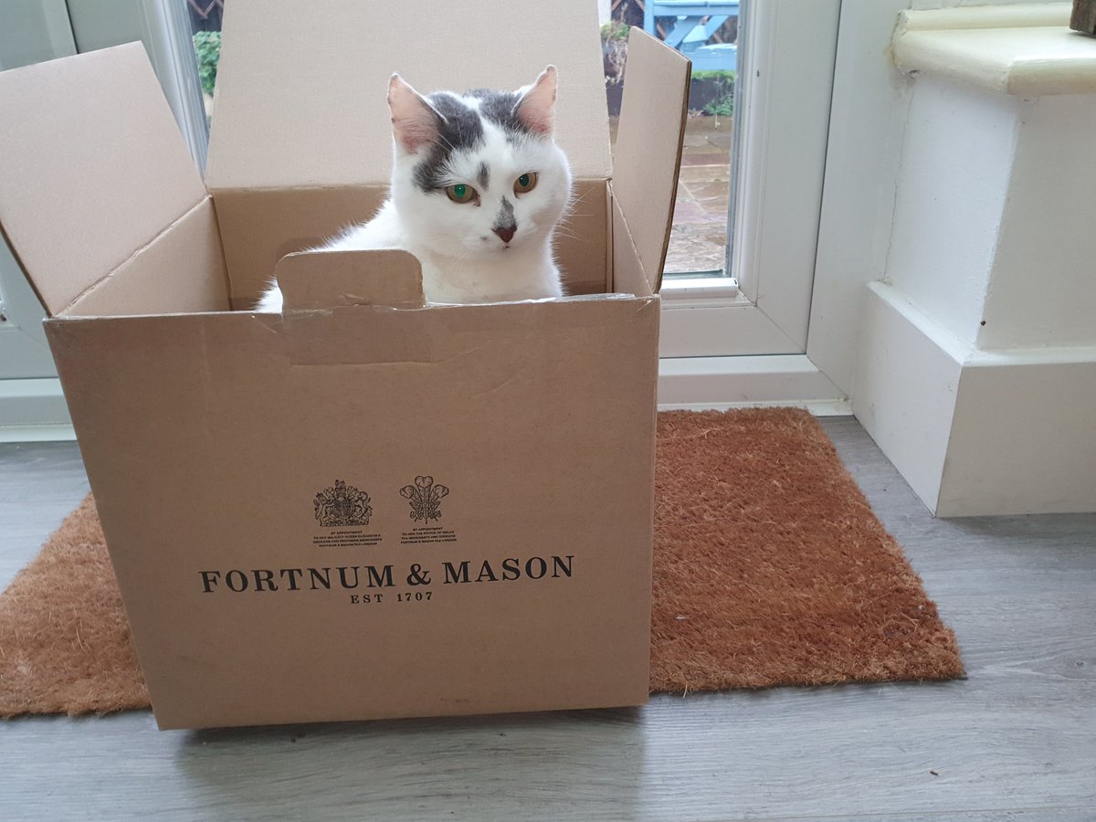markramcat's tweet image. Happy Christmas everyone from Markram. I've got myself a posh box this year. Apparently I can't claim it on expenses.
