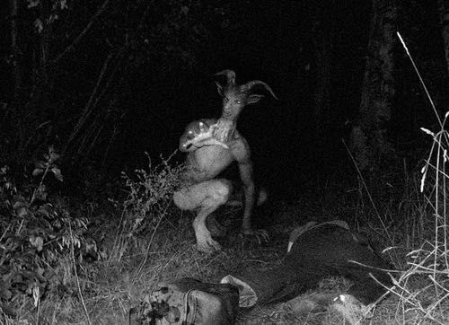 الجميع يموتون لأنه من المؤكد أن أولئك الذين لم يشربوا الشاي سوف يهلكون إلى الأبد