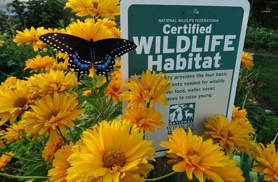 Garden For Wildlife Garden4wildlife Twitter