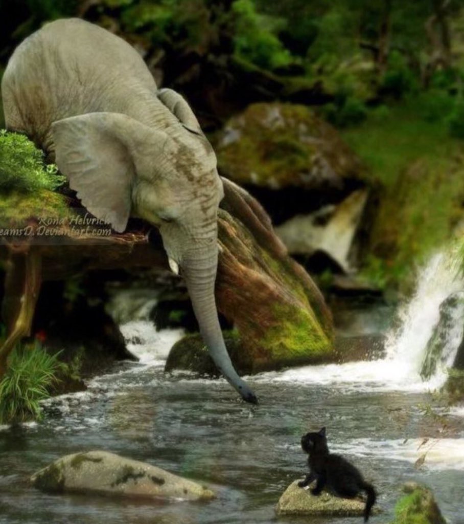 Kindness is
         a language 
     the blind can see
             And
     the deaf can hear❤️