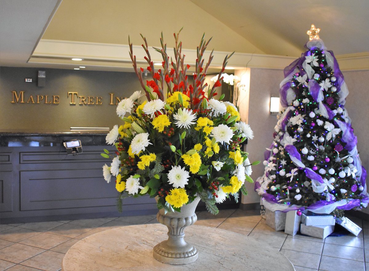 TheMapleTreeInn's tweet image. Happy Holidays!
Lobby Flowers
@TheMapleTreeInn 
#mapletreeinn #sunnyvale