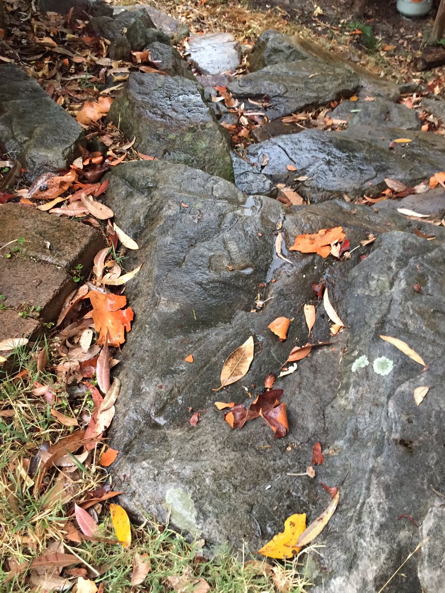 Best Christmas present ever - a little bit of rain on the Blue Mountains! Thanks Santa!