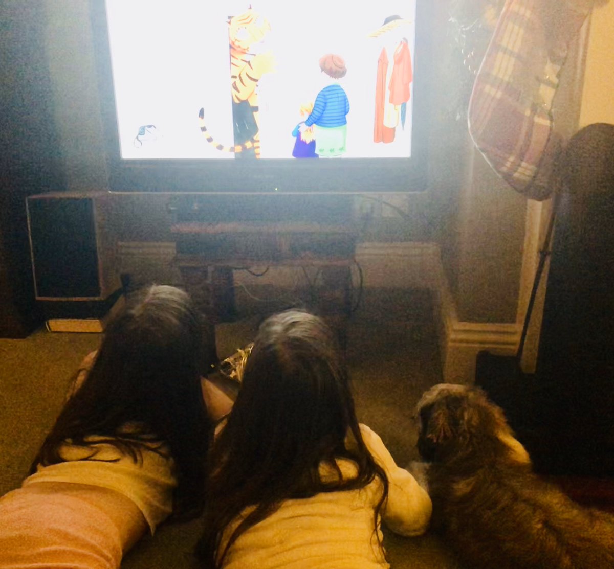 Gasolinejay's tweet photo. Twins and matching dog watching The Tiger Who Came To Tea ❤️#thetigerwhocametoteach4 #tigerwhocametotea #thetigerwhocametotea https://t.co/3RIcpacJbZ