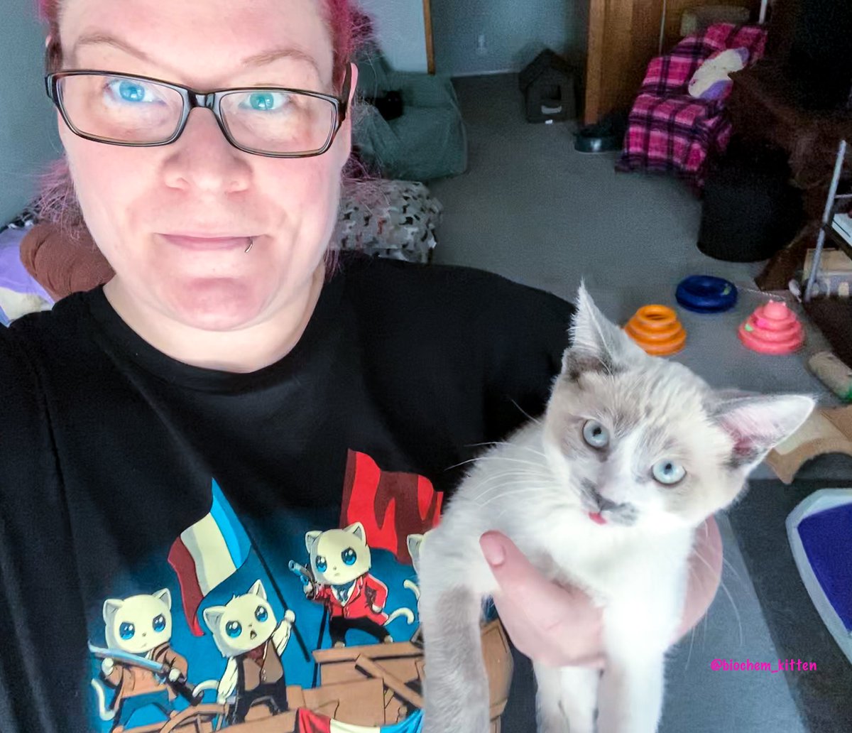 biochem_kitten's tweet photo. Blepsom. Blossom, the smiling kitten, was adopted today!! I’m so happy for her and her new mommy! 😍💜😍
#formerfoster #fosterkittens #AdoptDontShop #OneAlbuquerque #AWDpets #ShelterPetsRock #Blossom #PowerpurrGirls #ppg #smilingkitten https://t.co/AWPB7PxjB1