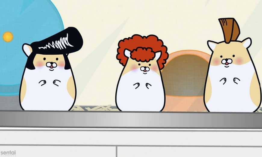 Delinquent Hamsters Yankee Hamsters An Shows An Forums Delinquent Hamsters Yankee Hamsters An Shows An Forums