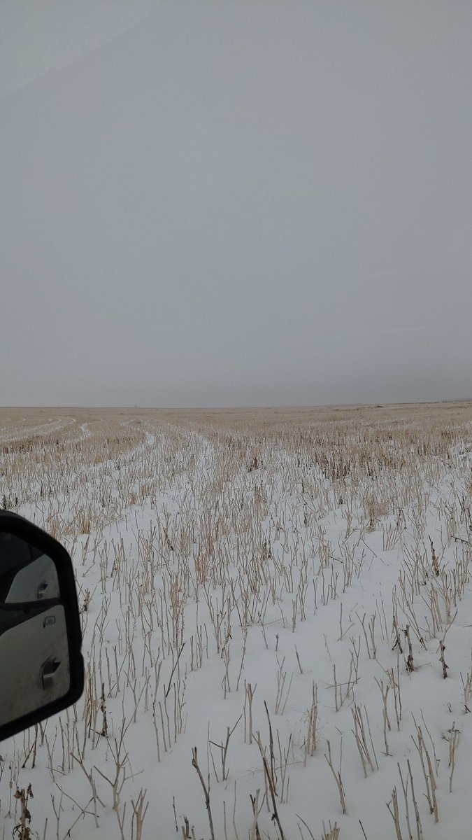 Lucas_Hofer_'s tweet image. Dad wanted to go Christmas shopping. Aaaand Here we are looking at land that's for sale.  #farmlife #shoppinglife #illtakeit