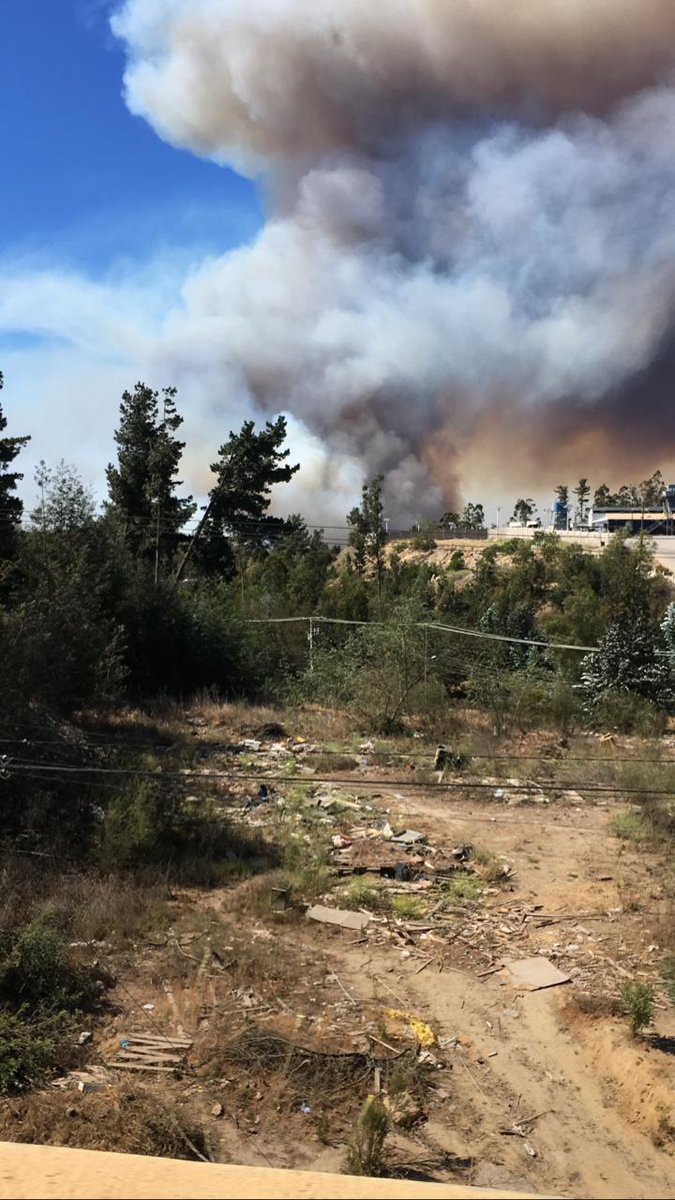informacionechi's tweet photo. #Valparaiso incendio forestal de proporciones https://t.co/npnJUejq5d