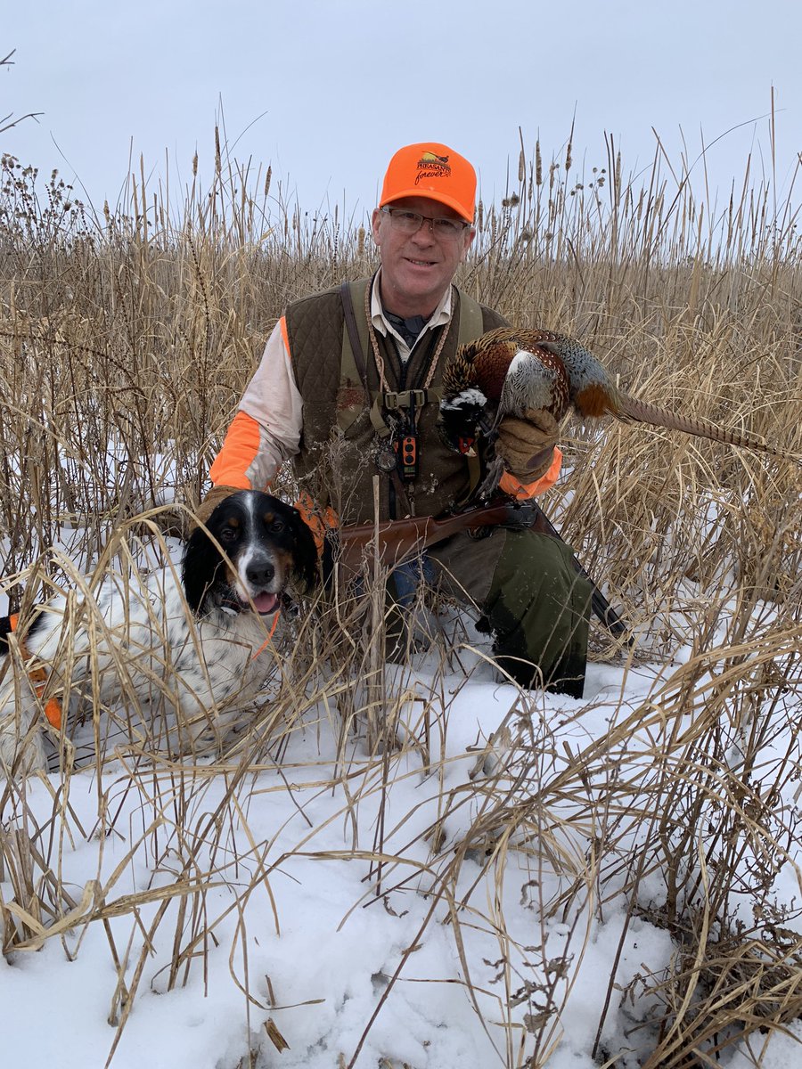 CKalis's tweet photo. @pheasants4ever https://t.co/p3SfZhFYBF