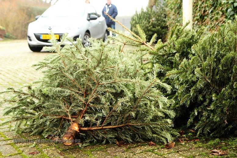 Ook dit jaar kunt u uw kerstboom na de feestdagen weer op diverse locaties gratis inleveren. Dit kan van 6 t/m 10 januari 2020. Lees hier waar de inzamelpunten zijn: bit.ly/2PSykgC