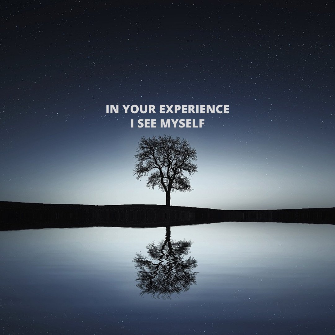 Biteappy tweet media