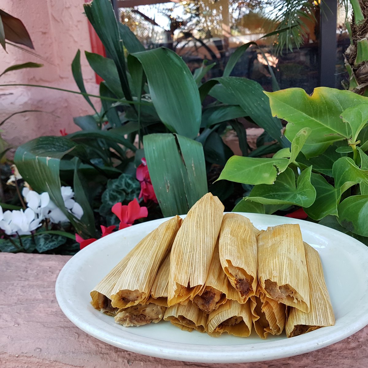 ViolasVentanas's tweet photo. We have beef, chicken and pork tamales available for sale for $11.95 plus tax. This is for the Viola's Ventanas location only. Come get them now!

#tamales #satx #ChristmasEve  #tamalesforchristmas https://t.co/9EZbbmLWOX