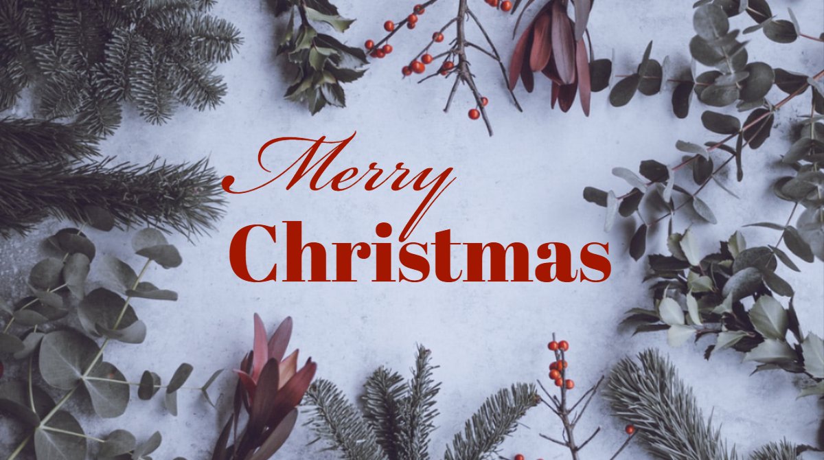 vardata's tweet image. We want to wish everyone a very Merry Christmas. Enjoy the time with family and friends.