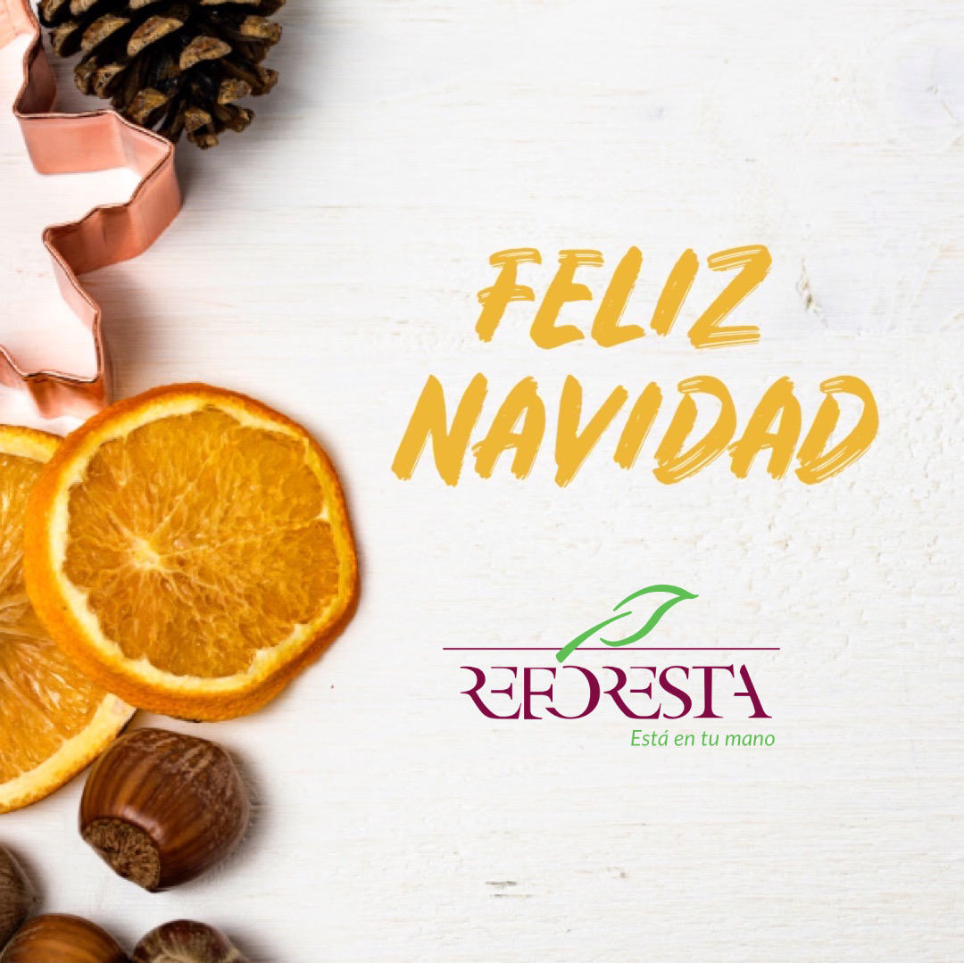 reforesta_ong's tweet photo. Por unas fiestas más responsables y sostenibles. #FelizNavidad https://t.co/ztwAO2Dq4g