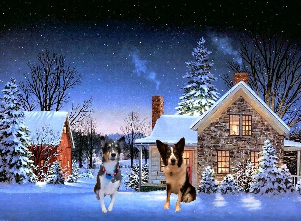 Puppy Bess and Auntie Kes tweet media